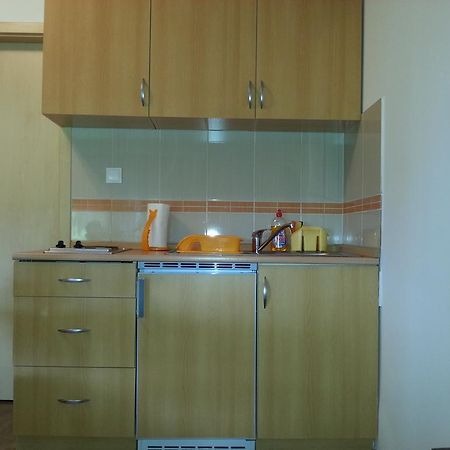 Appartement Studio Apartman Kamelija à Opatija Extérieur photo